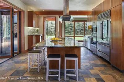 143 N Conundrum Creek Road, Aspen, CO 81611 - Photo 10