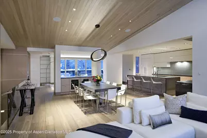 126 Juan Street, Aspen, CO 81611 - Photo 50