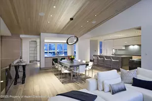 126 Juan St, Aspen, CO 81611 - Photo 50