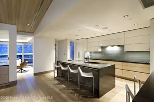 126 Juan St, Aspen, CO 81611 - Photo 12