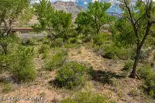 8984 Co Rd 300, Parachute, CO 81635 - Photo 28