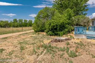 12303 W Spring Cir, Eckert, CO 81418 - Photo 18