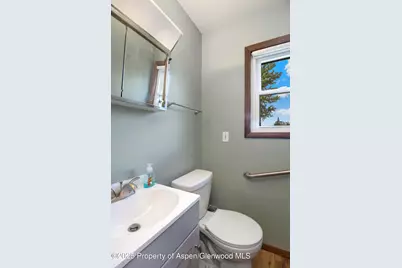 12303 West Spring Circle, Eckert, CO 81418 - Photo 10