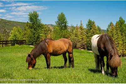 26 Bunker Loop, Aspen, CO 81611 - Photo 98