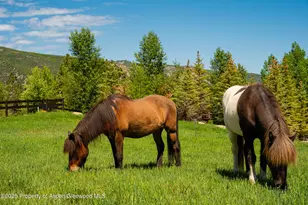 26 Bunker Loop, Aspen, CO 81611 - Photo 98