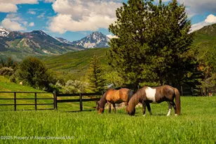 26 Bunker Loop, Aspen, CO 81611 - Photo 100