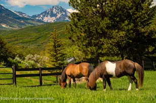 26 Bunker Loop, Aspen, CO 81611 - Photo 68