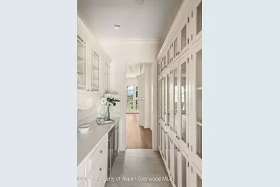 2959 County Road 103, Carbondale, CO 81623 - Photo 22