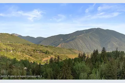 26 Twining Flats Road, Aspen, CO 81611 - Photo 24