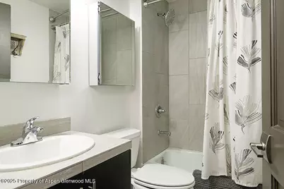 26 Twining Flats Road, Aspen, CO 81611 - Photo 16