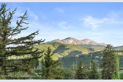 26 Twining Flats Road, Aspen, CO 81611 - Photo 22