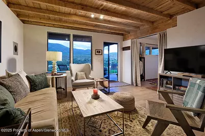 26 Twining Flats Road, Aspen, CO 81611 - Photo 8