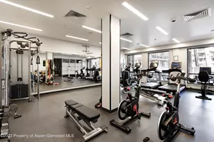 65 Wood Rd, Snowmass Village, CO 81615 - Photo 24