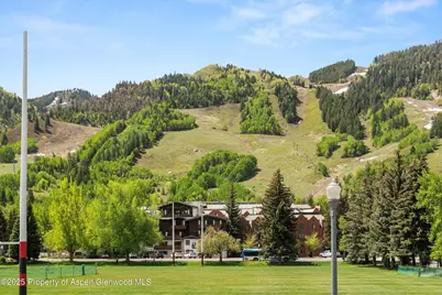 301 E Hyman Avenue #207, Weeks 35,36,48, Aspen, CO 81611 - Photo 6