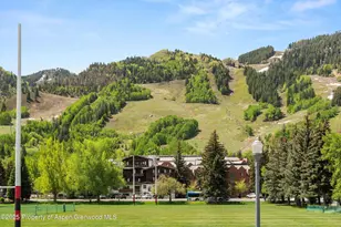 301 E Hyman Ave, Aspen, CO 81611 - Photo 6