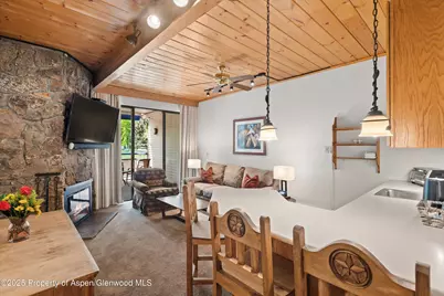301 E Hyman Avenue #207, Weeks 35,36,48, Aspen, CO 81611 - Photo 4