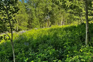 2601 Midnight Mine Road Rd, Aspen, CO 81611 - Photo 2