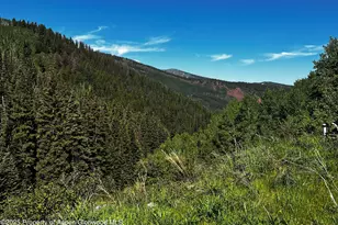 2601 Midnight Mine Road Rd, Aspen, CO 81611 - Photo 4