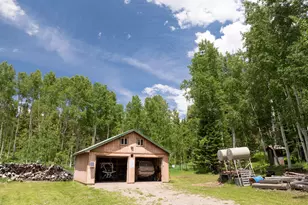 15805 Co Rd 245, New Castle, CO 81647 - Photo 4