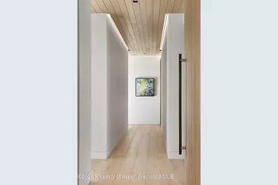 401 Carroll Drive, Aspen, CO 81611 - Photo 24