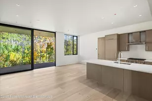 401 Carroll Dr, Aspen, CO 81611 - Photo 34