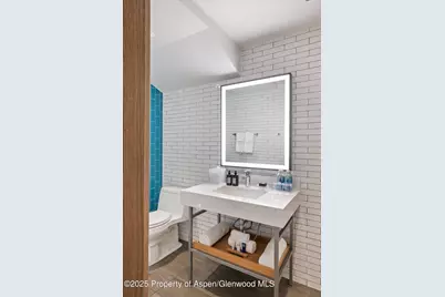 550 S Spring Street #F10 1-10, Aspen, CO 81611 - Photo 40