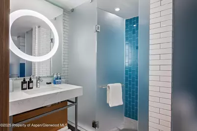 550 S Spring Street #F10 1-10, Aspen, CO 81611 - Photo 38