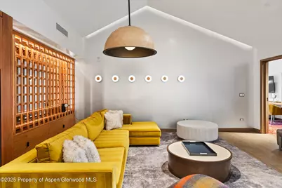 550 S Spring Street #F10 1-10, Aspen, CO 81611 - Photo 6