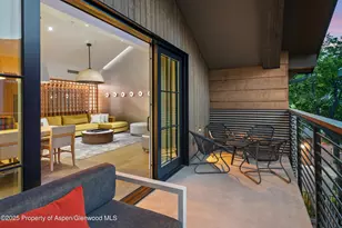 550 S Spring St, Aspen, CO 81611 - Photo 44