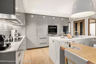 550 S Spring St, Aspen, CO 81611 - Photo 16
