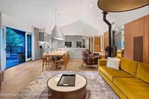 550 S Spring St, Aspen, CO 81611 - Photo 12