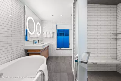 550 S Spring Street #F10 1-10, Aspen, CO 81611 - Photo 28