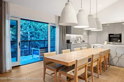 550 S Spring Street #F10 1-10, Aspen, CO 81611 - Photo 14