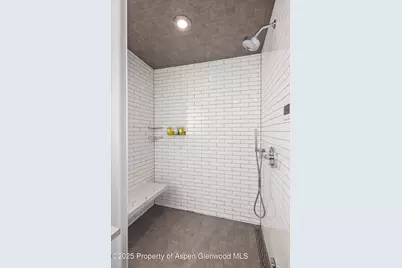 550 S Spring Street #F10 1-10, Aspen, CO 81611 - Photo 30