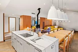 550 S Spring St, Aspen, CO 81611 - Photo 10