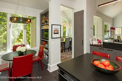 205 N 6th Street, Aspen, CO 81611 - Photo 6