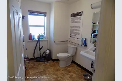 181 12th Street, Carbondale, CO 81623 - Photo 8