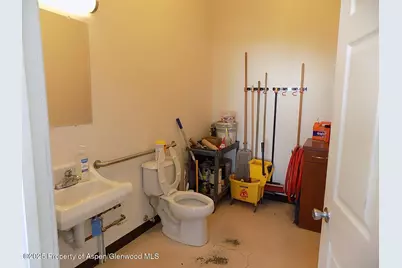 181 12th Street, Carbondale, CO 81623 - Photo 20