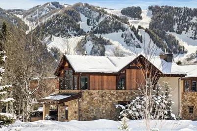 566 Race Street, Aspen, CO 81611 - Photo 18