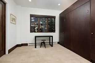 566 Race St, Aspen, CO 81611 - Photo 10