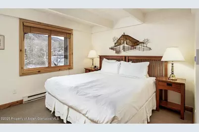 901 E Hyman Avenue #13, Aspen, CO 81611 - Photo 6