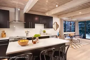 101 E Cooper, Aspen, CO 81611 - Photo 1