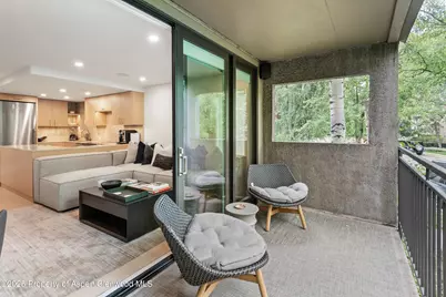 800 E Hopkins Avenue #B5, Aspen, CO 81611 - Photo 14