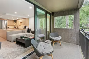 800 E Hopkins Ave, Aspen, CO 81611 - Photo 14