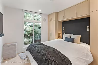 800 E Hopkins Avenue #B5, Aspen, CO 81611 - Photo 20