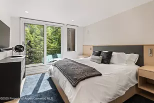 800 E Hopkins Ave, Aspen, CO 81611 - Photo 16