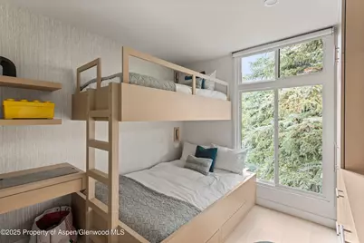 800 E Hopkins Avenue #B5, Aspen, CO 81611 - Photo 22