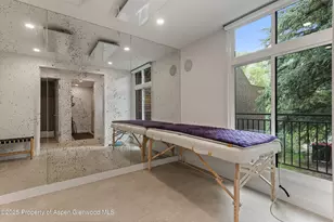 800 E Hopkins Ave, Aspen, CO 81611 - Photo 24