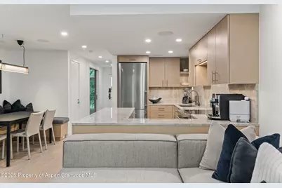 800 E Hopkins Avenue #B5, Aspen, CO 81611 - Photo 8