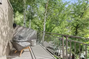 800 E Hopkins Ave, Aspen, CO 81611 - Photo 28